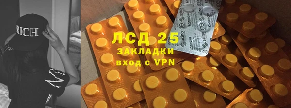 ПСИЛОЦИБИНОВЫЕ ГРИБЫ Армянск