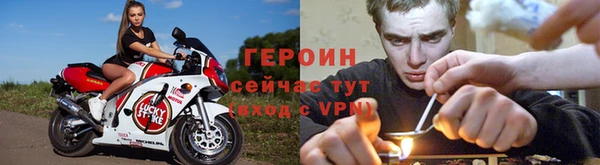прущие грибы Арсеньев