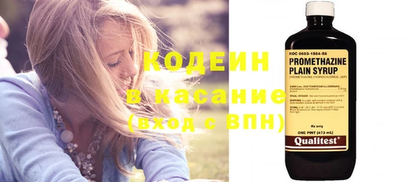 прущие грибы Арсеньев