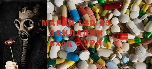 ПСИЛОЦИБИНОВЫЕ ГРИБЫ Армянск