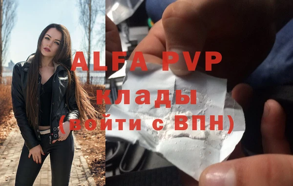 прущие грибы Арсеньев