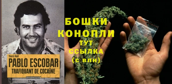 каннабис Аркадак