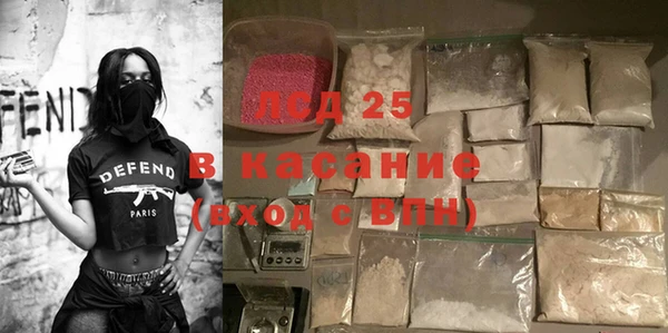 прущие грибы Арсеньев